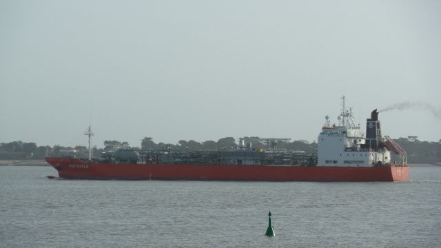 Pertusola - estuaire - 26 janvier 2013 (07).JPG